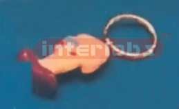 SPLEEN & PANCREAS KEY RING